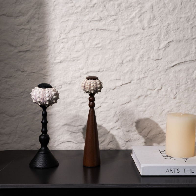 Interior Design Organic Modern - Scultura creativa di conchiglia realizzata a