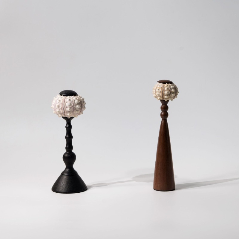 Scultura creativa di conchigli - Interior Design Organic Modern recensione e prezzo