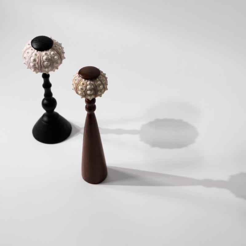 Scultura creativa di conchigli - Interior Design Organic Modern recensione e prezzo